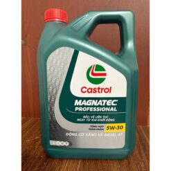 CASTROL PROFESSIONAL 5w30